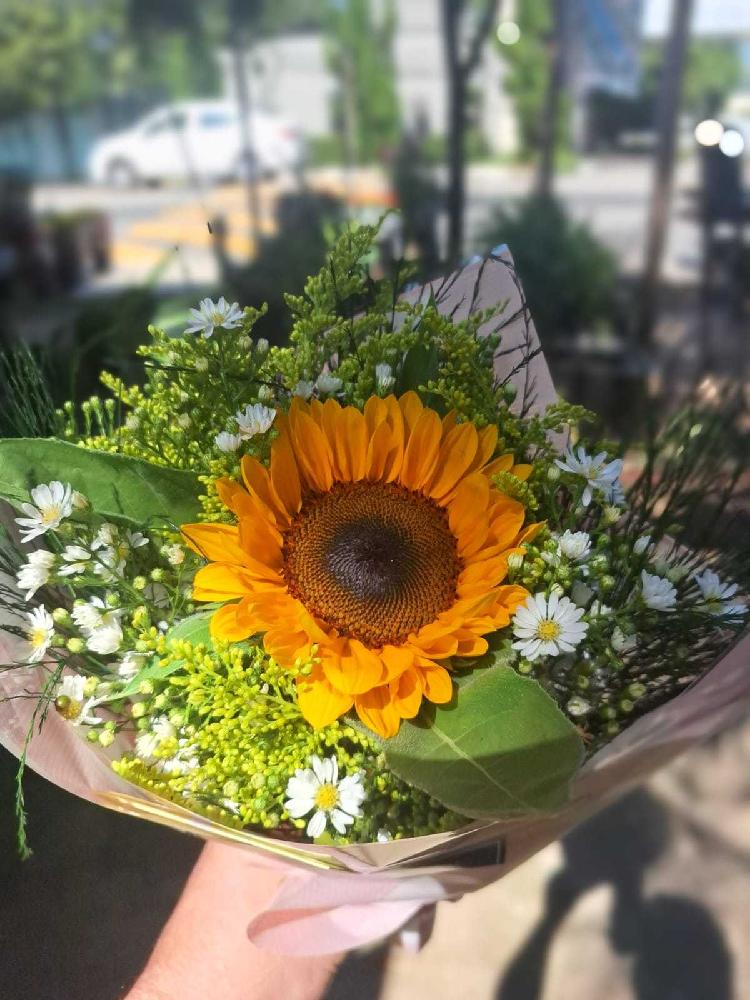 Buque-1-girassol---01