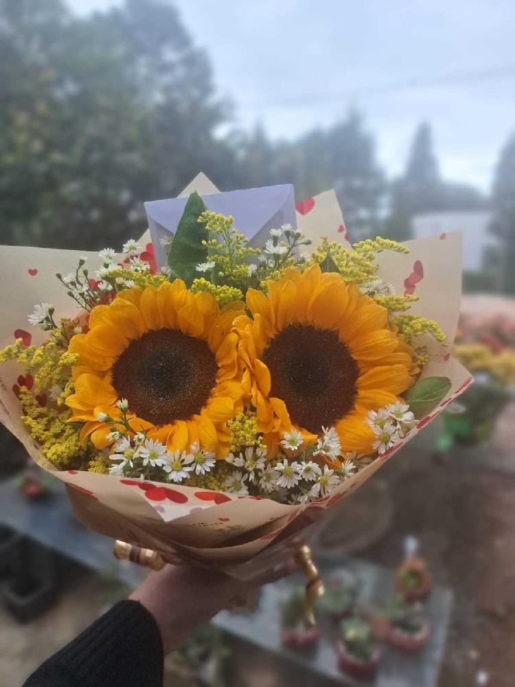 Buque-2-girassol---02